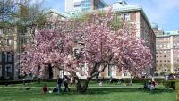 Columbia University Irving Medical Center campus